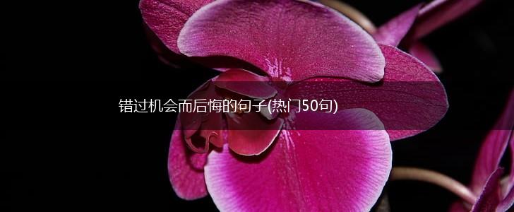 错过机会而后悔的句子(热门50句),第1张