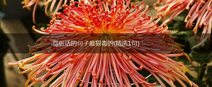骂脏话的句子最狠毒的(精选1句),第1张