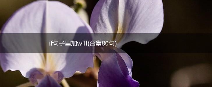 if句子里加will(合集80句),第1张