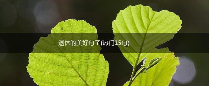退休的美好句子(热门15句),第1张