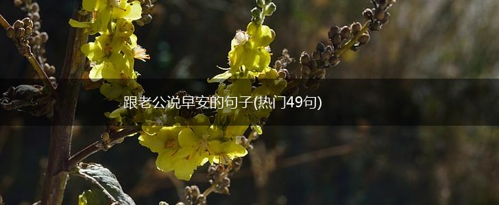跟老公说早安的句子(热门49句),第1张