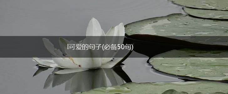 l可爱的句子(必备50句),第1张