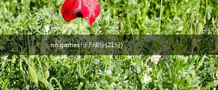no games句子成分(21句),第1张