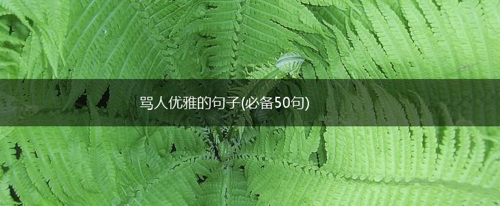 骂人优雅的句子(必备50句),第1张