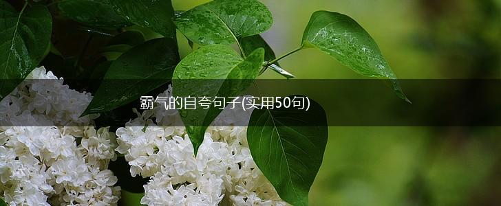霸气的自夸句子(实用50句),第1张