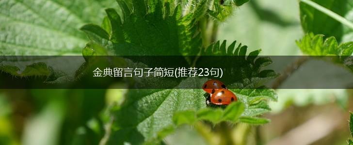 金典留言句子简短(推荐23句),第1张