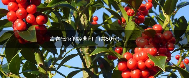 青春感悟的经典句子(共50句),第1张
