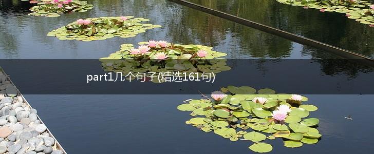 part1几个句子(精选161句),第1张
