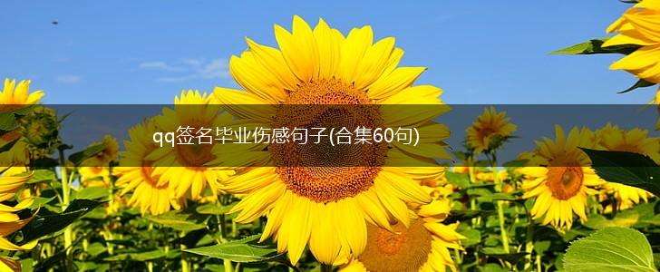 qq签名毕业伤感句子(合集60句),第1张
