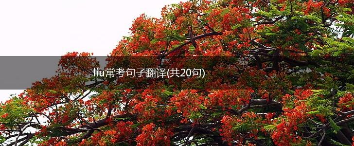 liu常考句子翻译(共20句),第1张
