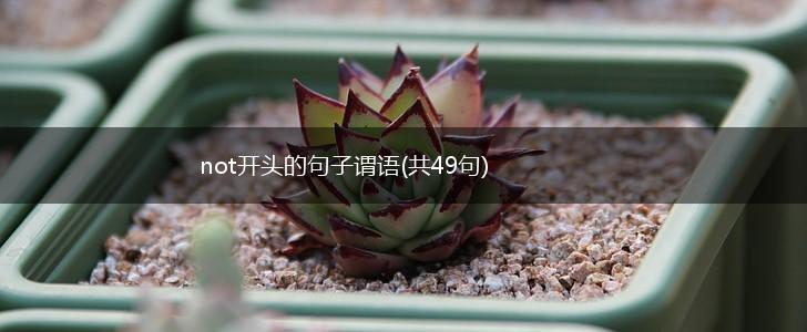 not开头的句子谓语(共49句),第1张