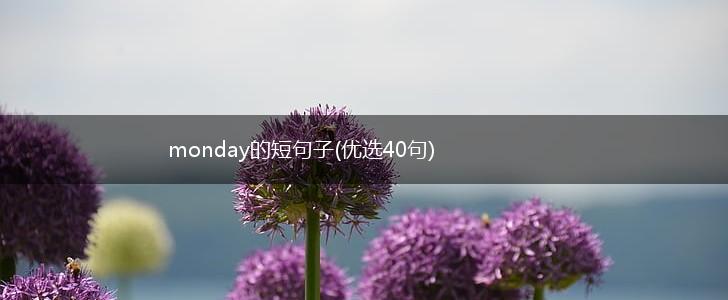 monday的短句子(优选40句),第1张