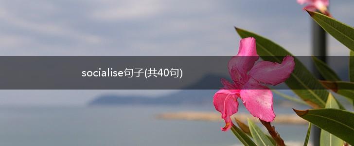 socialise句子(共40句),第1张