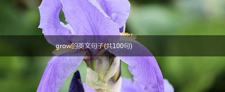 grow的英文句子(共100句),第1张