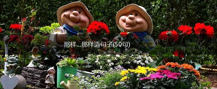 那样…那样造句子(50句),第1张