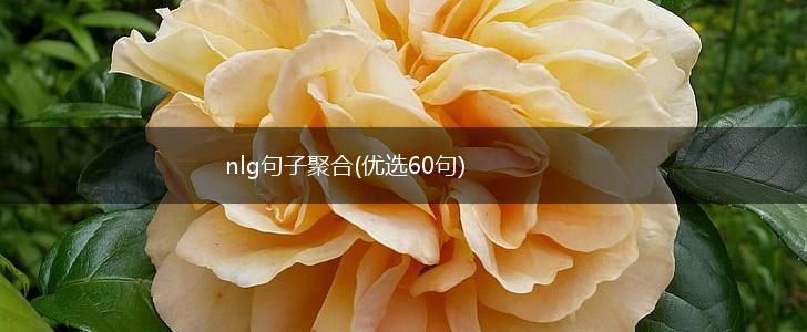 nlg句子聚合(优选60句),第1张