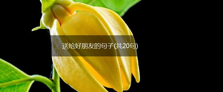 送给好朋友的句子(共20句),第1张