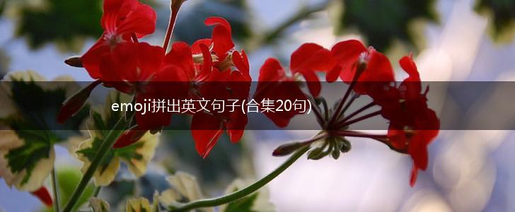 emoji拼出英文句子(合集20句),第1张