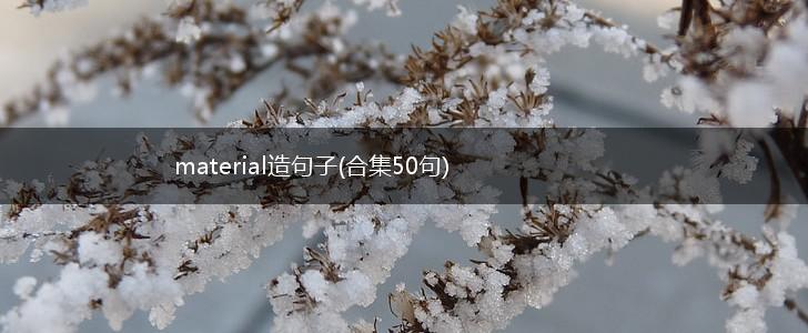 material造句子(合集50句),第1张