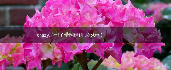 crazy造句子带翻译(汇总50句),第1张