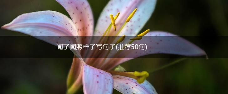 闻了闻照样子写句子(推荐50句),第1张