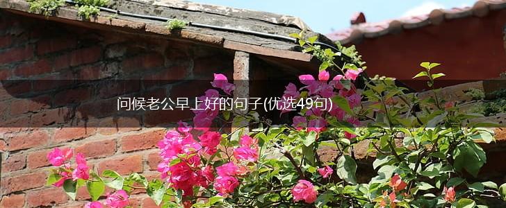 问候老公早上好的句子(优选49句),第1张