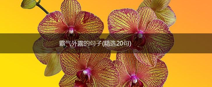 霸气外露的句子(精选20句),第1张