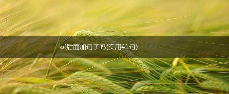 of后面加句子吗(实用41句),第1张