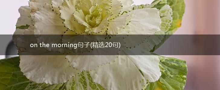 on the morning句子(精选20句),第1张