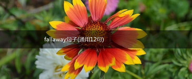 fallaway句子(通用12句),第1张