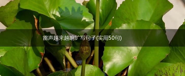 雷声越来越响扩写句子(实用50句),第1张
