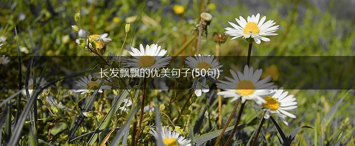 长发飘飘的优美句子(50句),第1张
