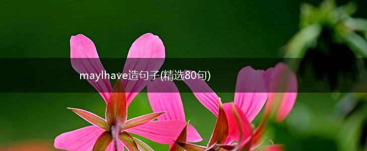 maylhave造句子(精选80句),第1张