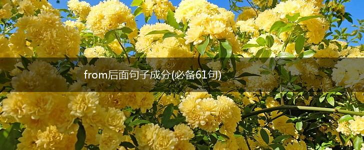 from后面句子成分(必备61句),第1张
