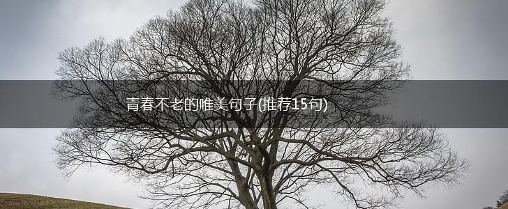青春不老的唯美句子(推荐15句),第1张