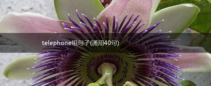 telephone组句子(通用40句),第1张