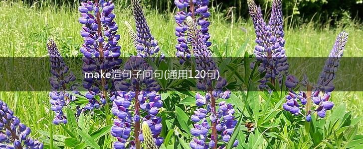 make造句子问句(通用120句),第1张