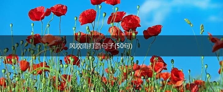 风吹雨打造句子(50句),第1张
