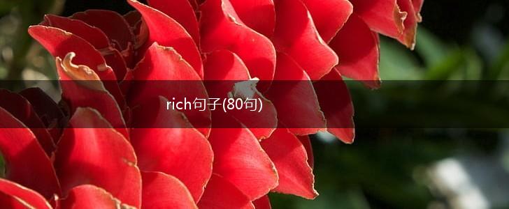 rich句子(80句),第1张