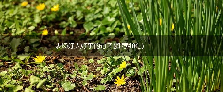 表扬好人好事的句子(推荐40句),第1张