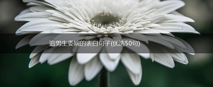 追男生委婉的表白句子(优选50句),第1张