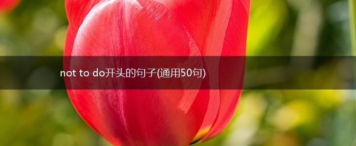 not to do开头的句子(通用50句),第1张