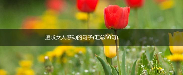追求女人感动的句子(汇总50句),第1张