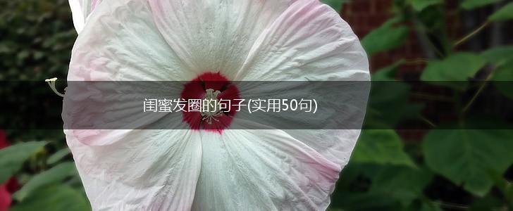 闺蜜发圈的句子(实用50句),第1张