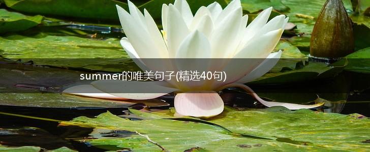 summer的唯美句子(精选40句),第1张