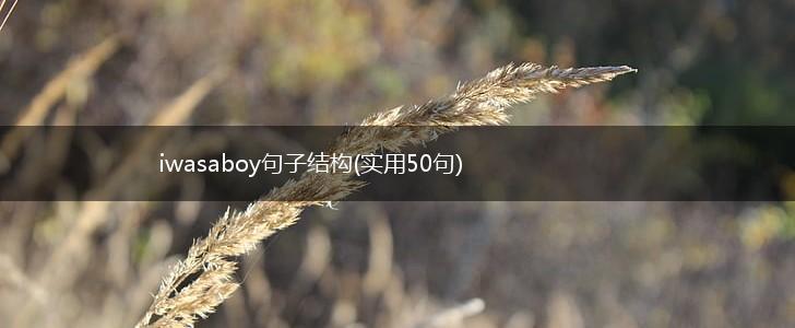 iwasaboy句子结构(实用50句),第1张