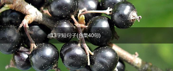 13字短句子(合集40句),第1张