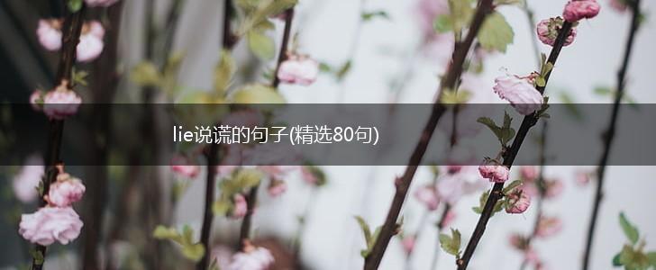lie说谎的句子(精选80句),第1张