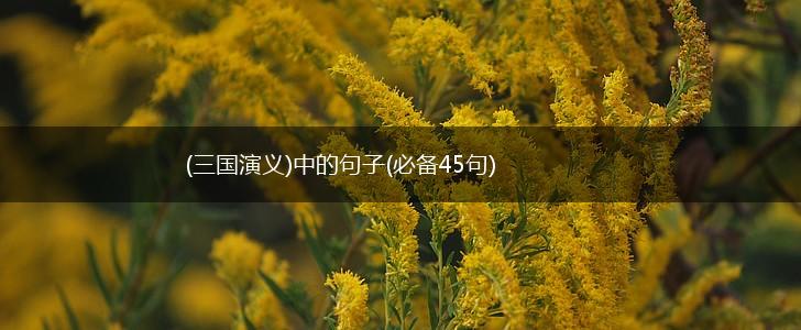 (三国演义)中的句子(必备45句),第1张