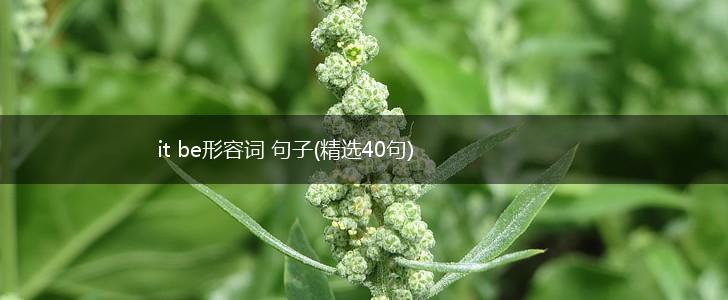 it be形容词 句子(精选40句),第1张